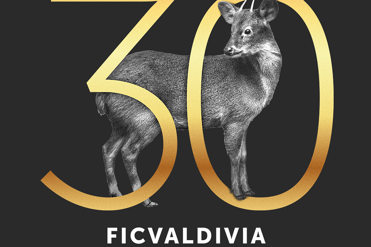 Algunos imperdibles de cine chileno en el 30° FicValdivia