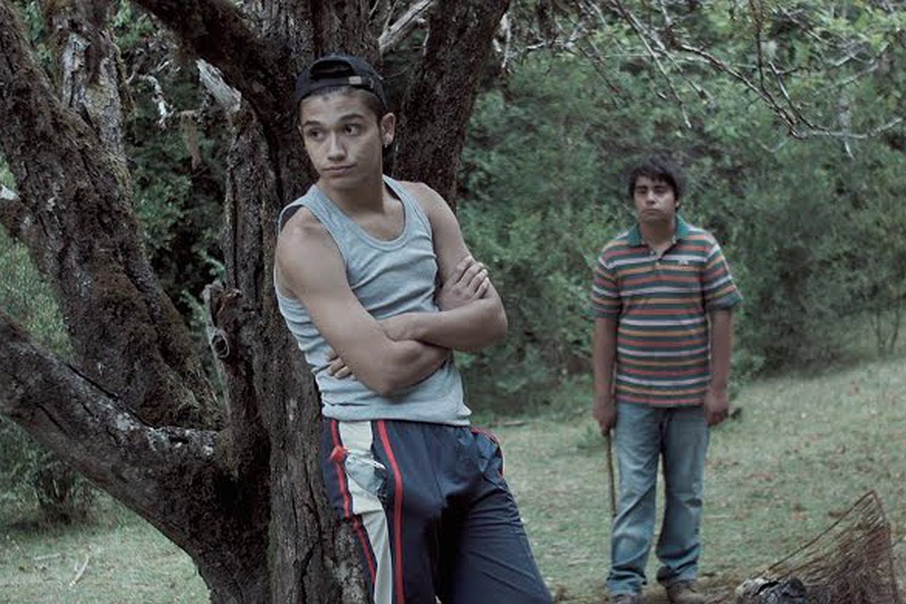 Balance 2017 (4): Derroteros del cine chileno