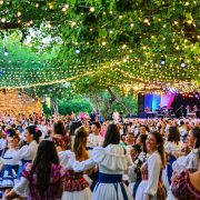 Festival Alerce Milenario